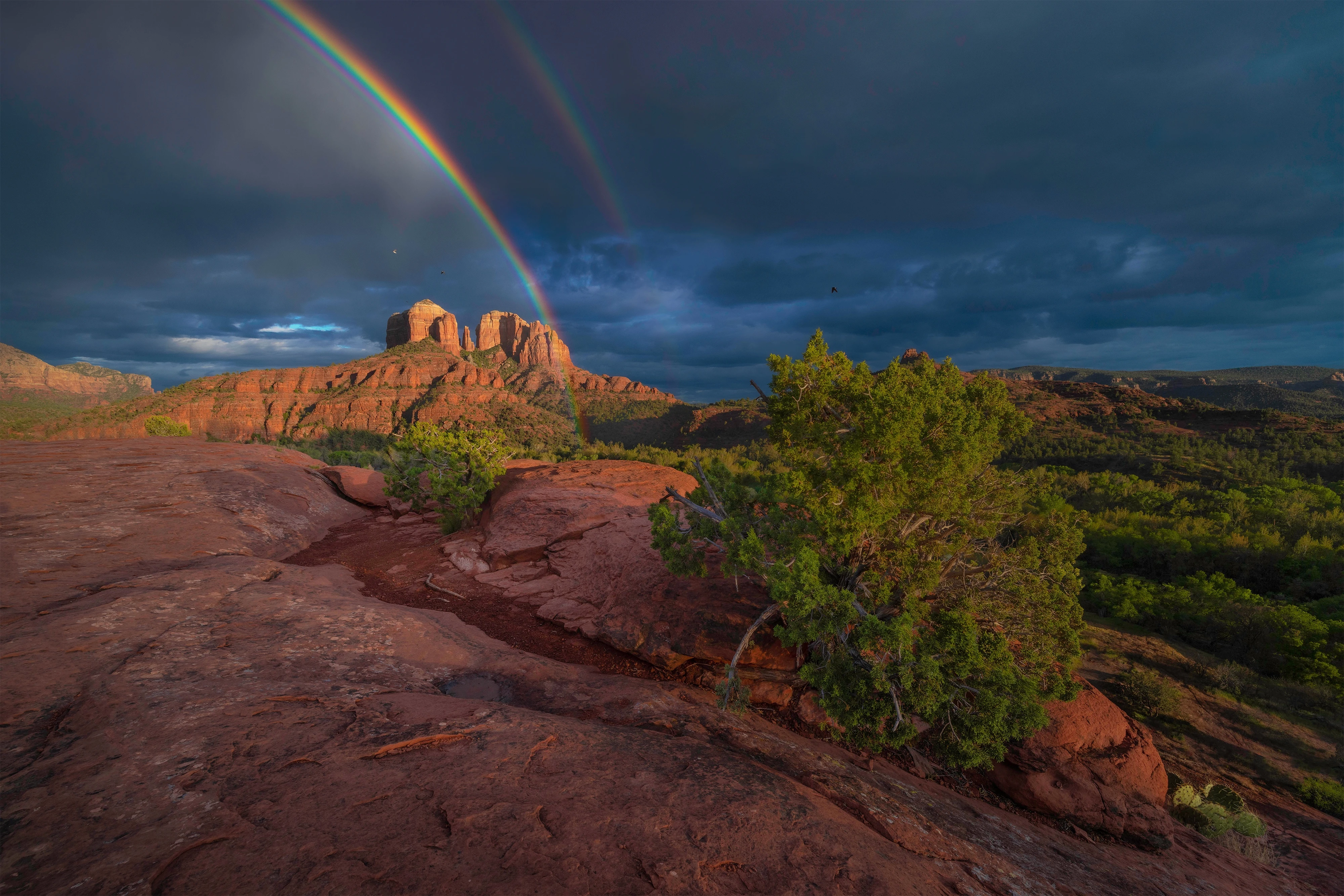 1673-capstonesedona1-17459660728291.jpg