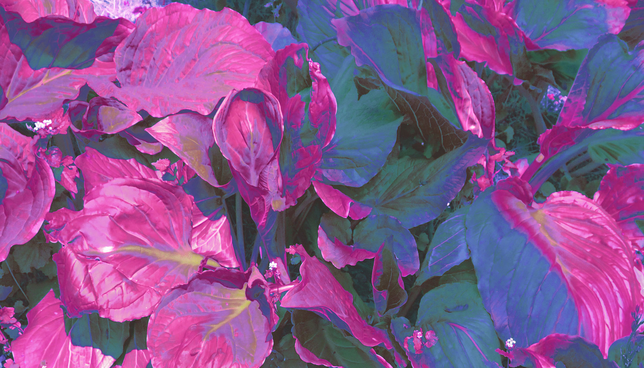 r276-background-15979456056585.jpg