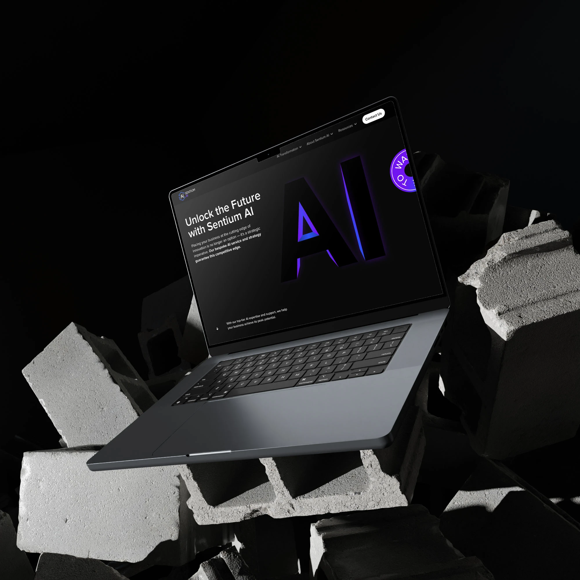 227-bricko5-1704180220008.jpg