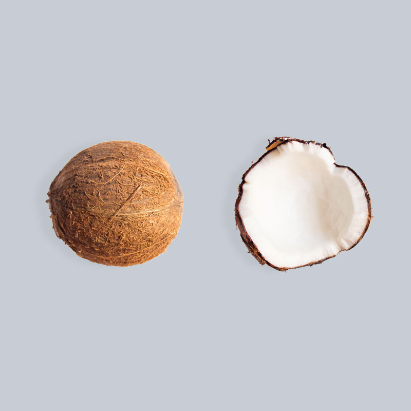 1351-coconut.jpg
