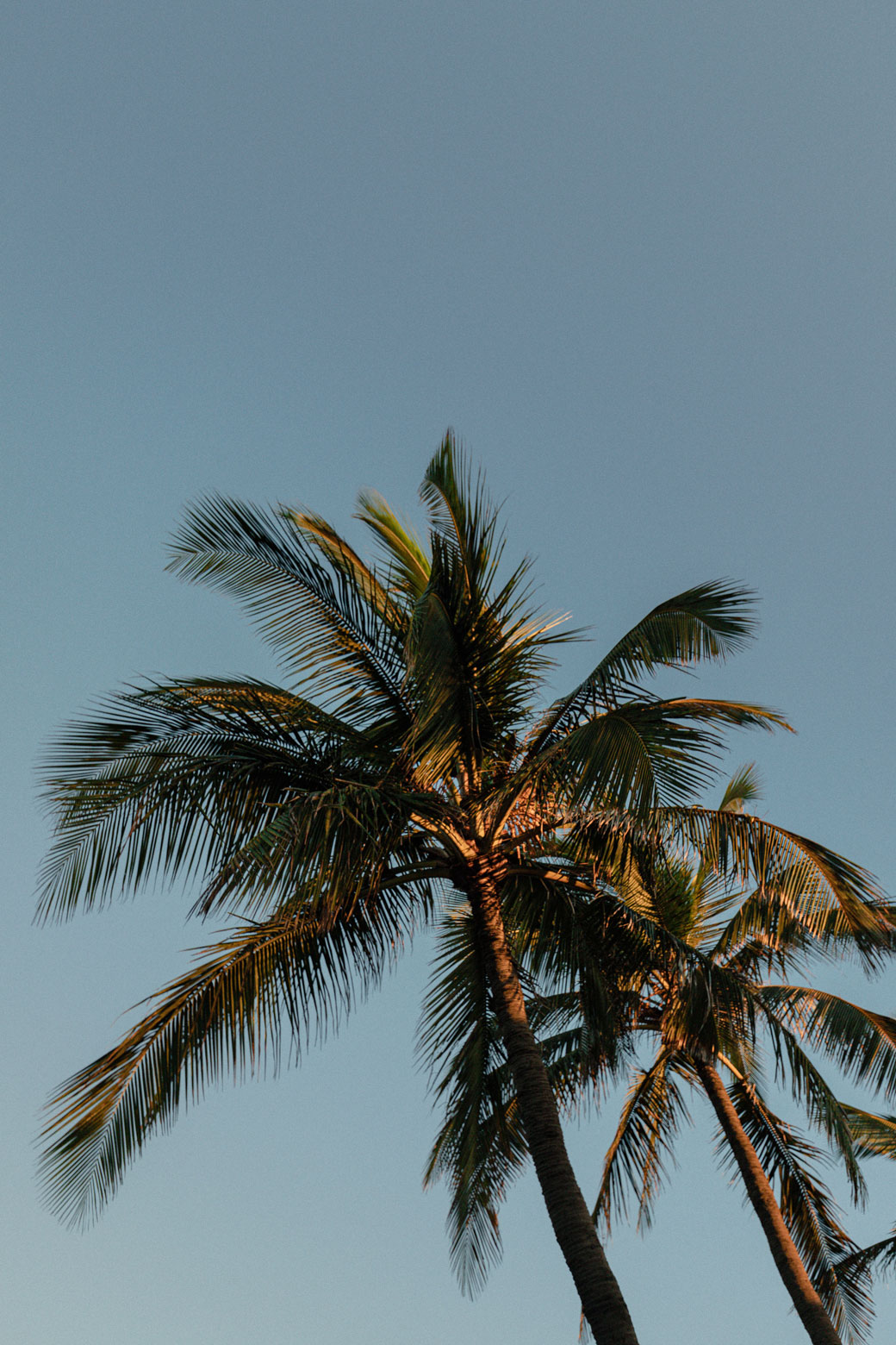 r180-jakob-owens-hpuzmyosboi-unsplash.jpg