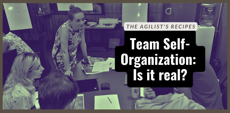 TAR#36: Team Self-Organization: Is it Real?