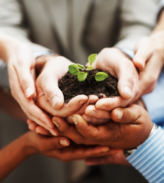 Three Steps for Singles To Build Their Own Family