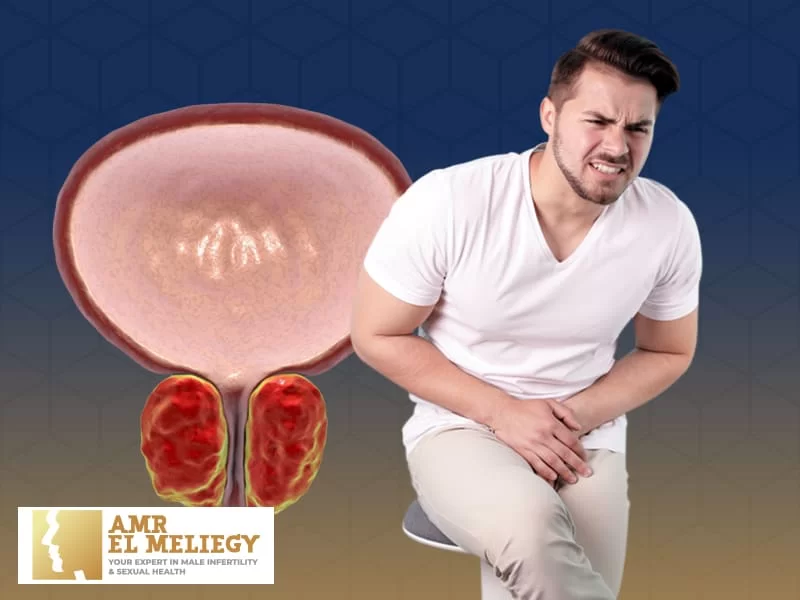 68-علاج-التهاب-البروستاتا-16894483699533.png