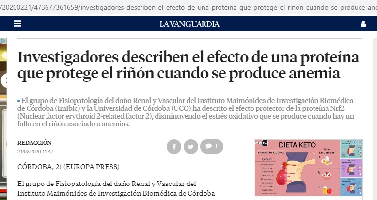 149-noticias-gnmx-9-16185142085359.jpg