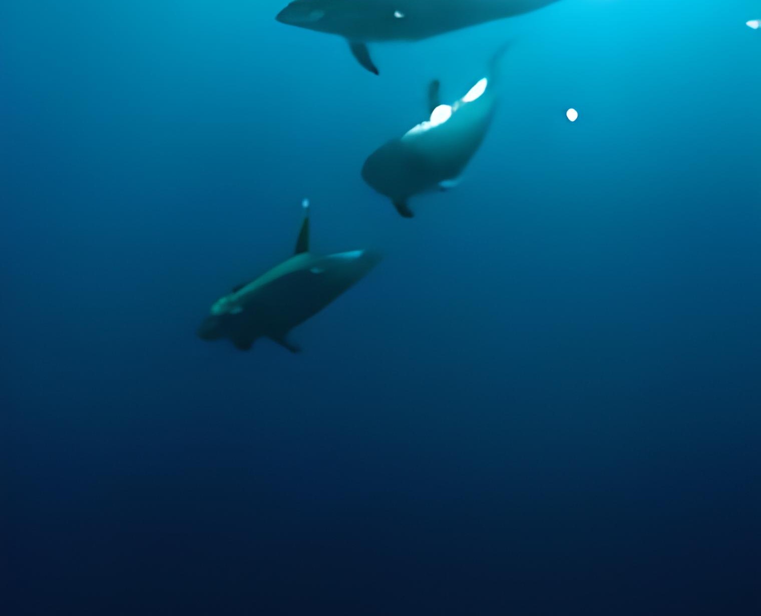 013815201230476-zyro-image-19-16564908608339.png