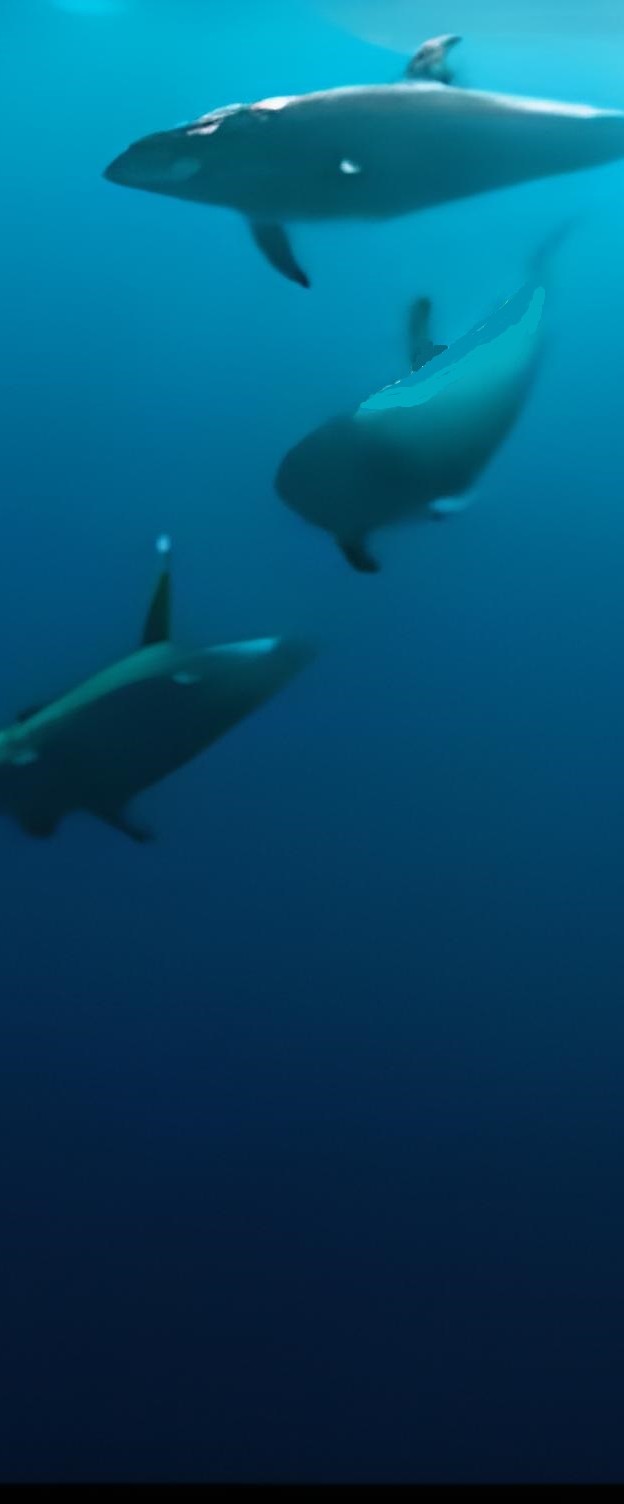 44706241504320-zyro-image-19-16566467355634.png