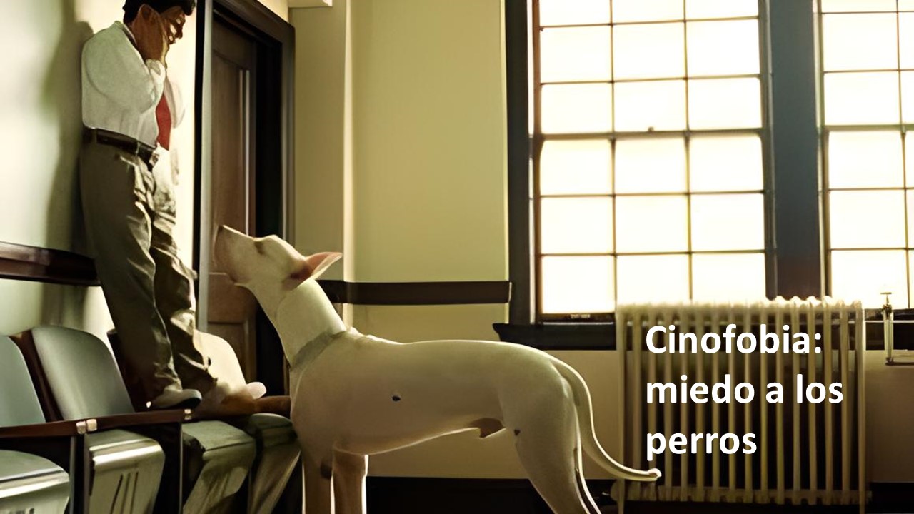537-cinofobia.jpg