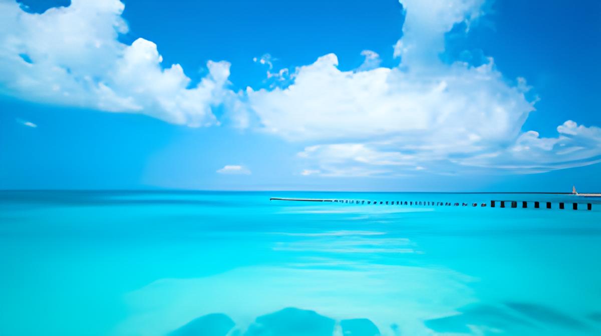 r94-zyro-image-mar-16564872225705.png
