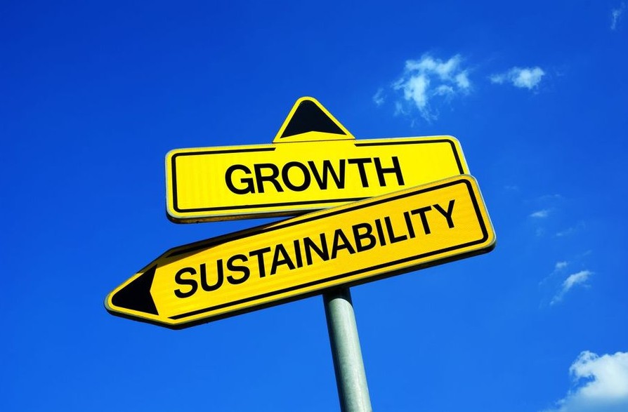 378945871163-growth-versus-sustainability-9.jpg