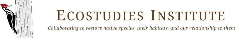 Ecostudies Institute