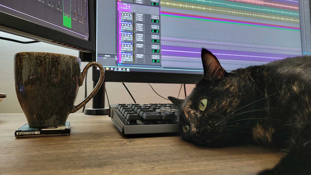 1193-cat-17004534900327.jpg