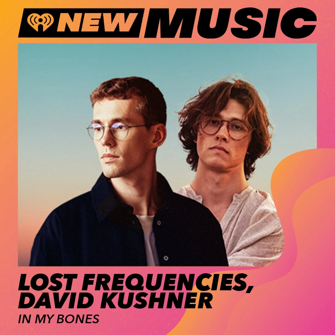 519-lost-frequencies-david-kushner-in-my-bones-17252364215789.jpg