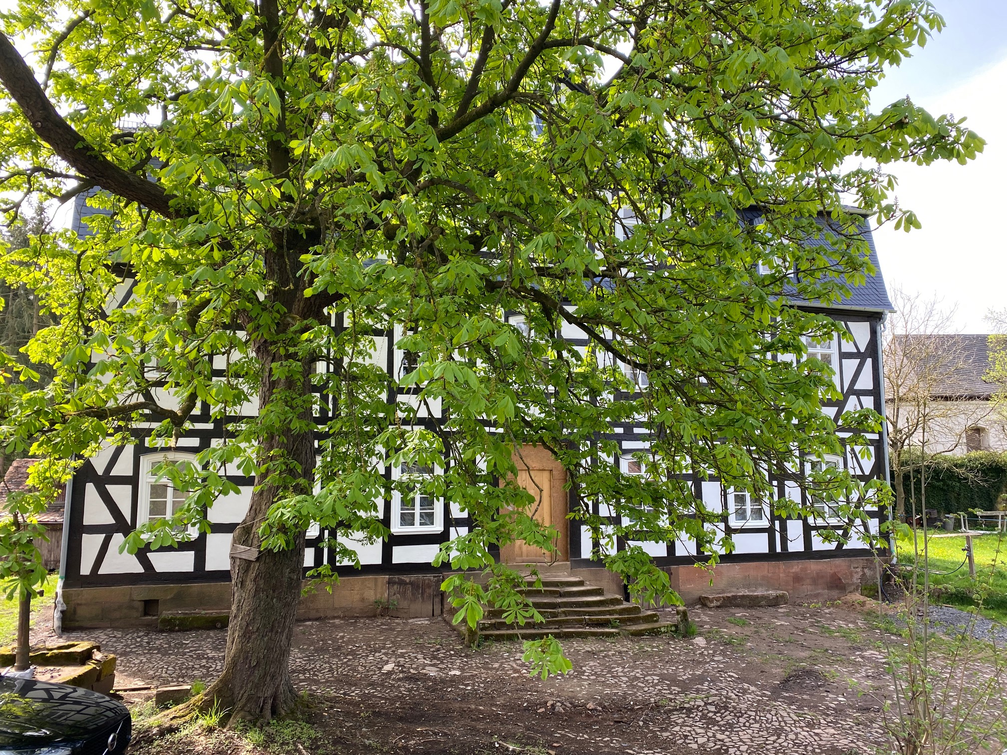 Rapunzelturm Amönau Home