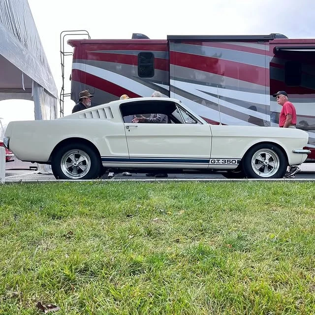 1965 Shelby Mustang GT350