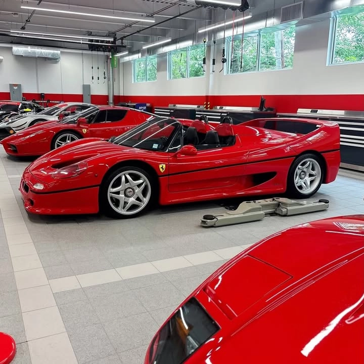 1996 Ferrari F50