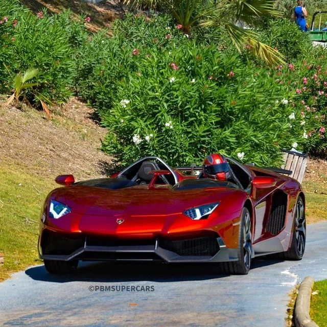 2012 Lamborghini Aventador J