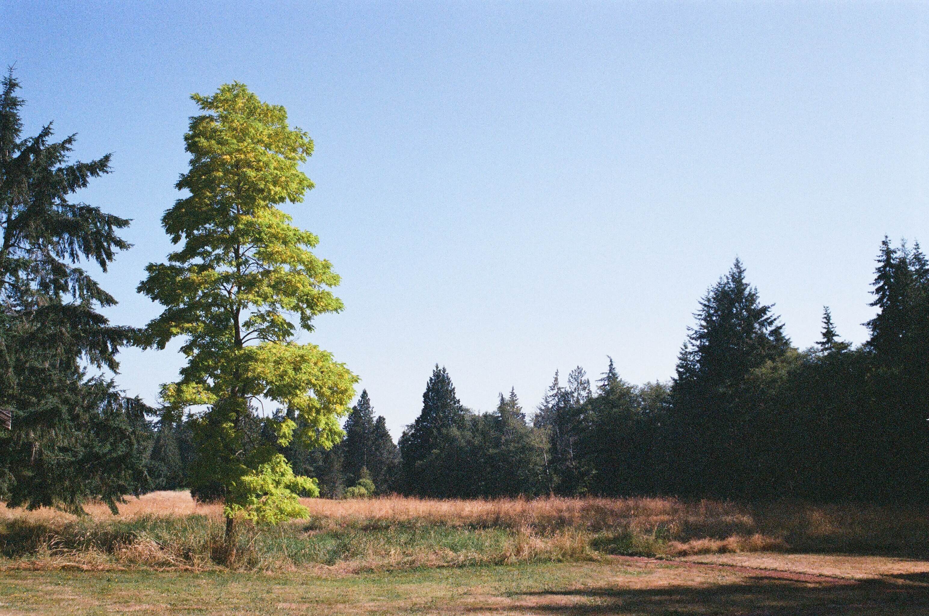 170-69900016-16794198378504.jpg