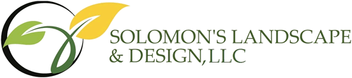 77-cropped-solomon-logo-final-outline.png