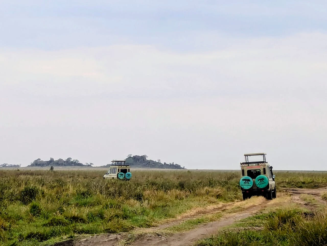 119-our-safari-cars-17693197987734.jpeg