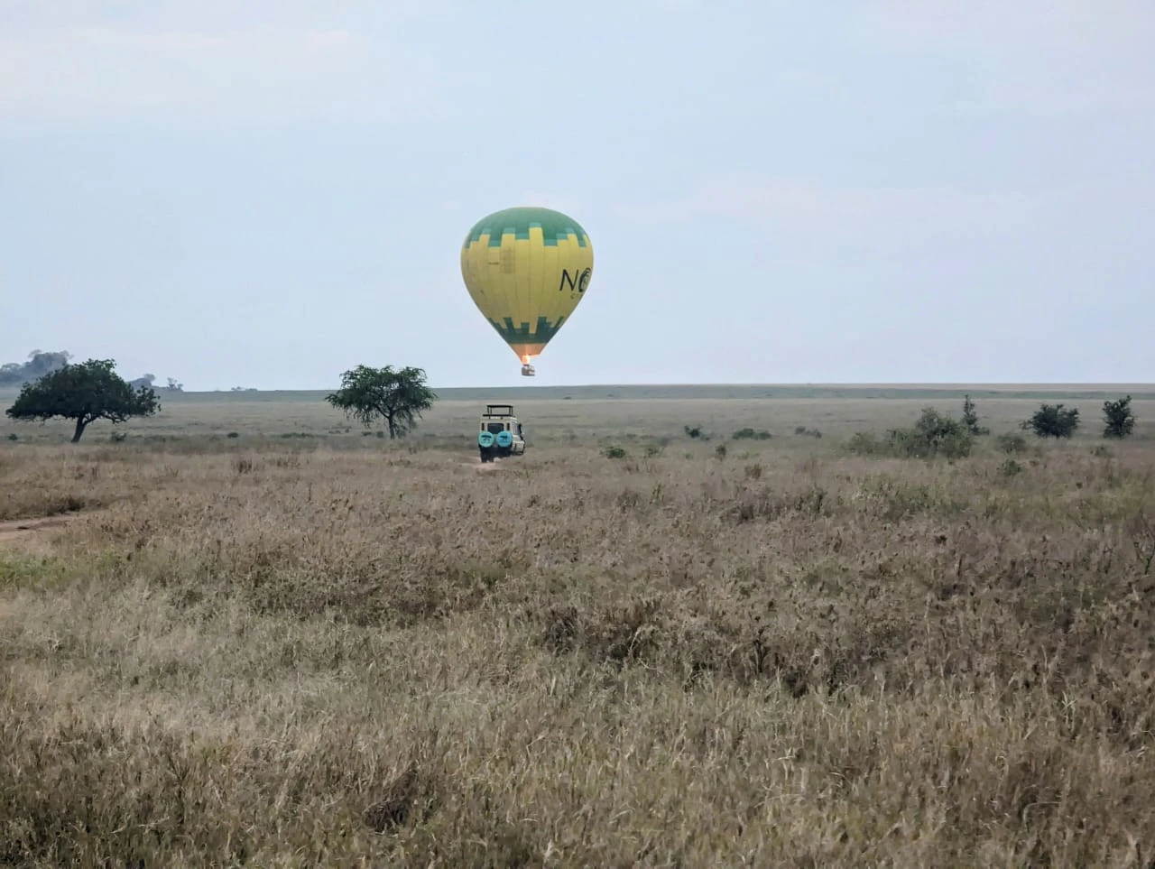 r203-safar-balloon-17693212250712.jpeg
