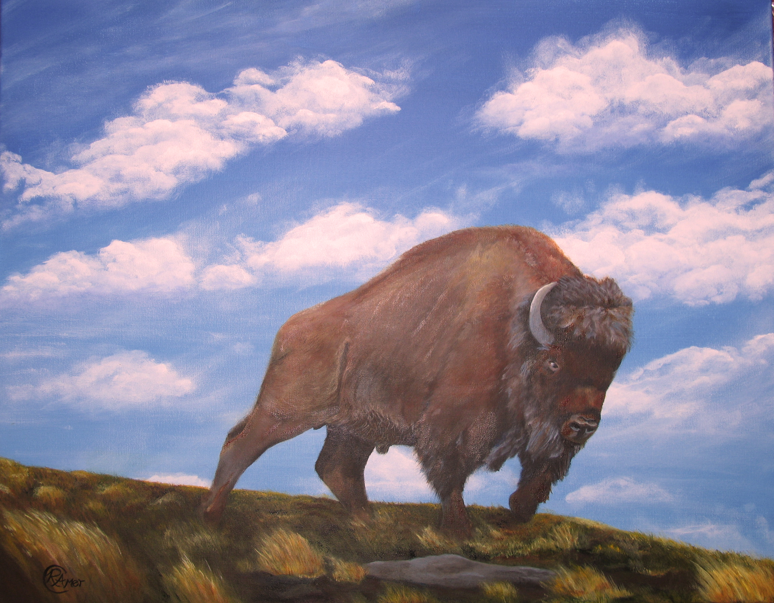 233-bison.jpg