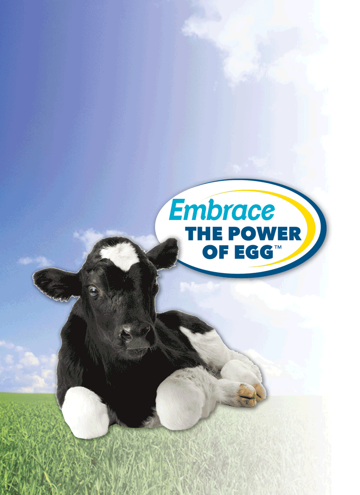 202207381013173-cow-egg-thing.png