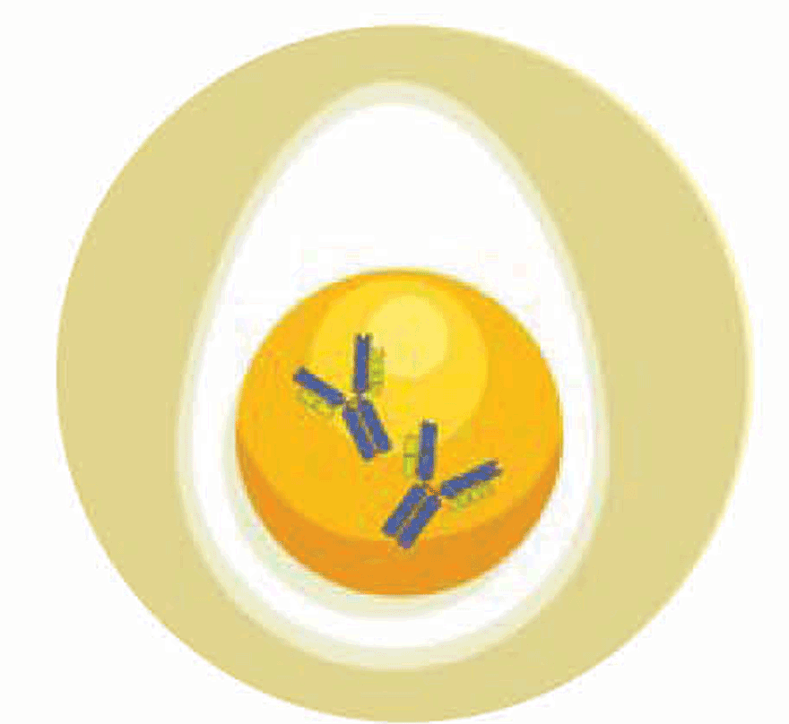 547880808167-circle-2-15864803575235.png