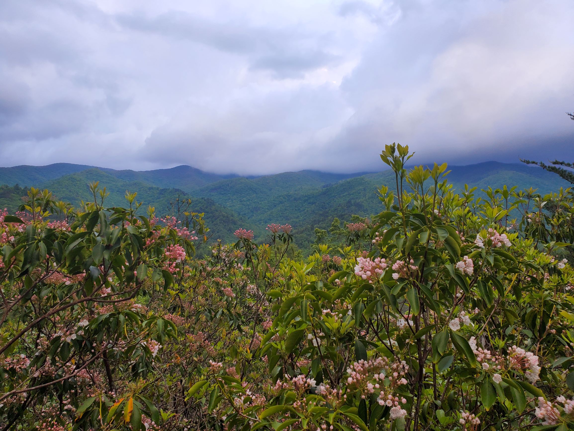 10-ridge-top-cabin-mountain-laurel.jpg