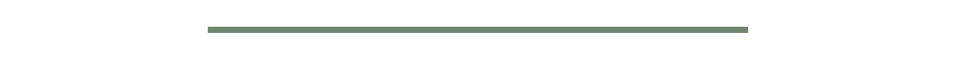 204-divider-16254945904984.png
