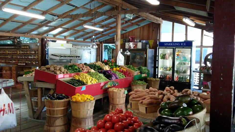 Hiawassee Fruit stand