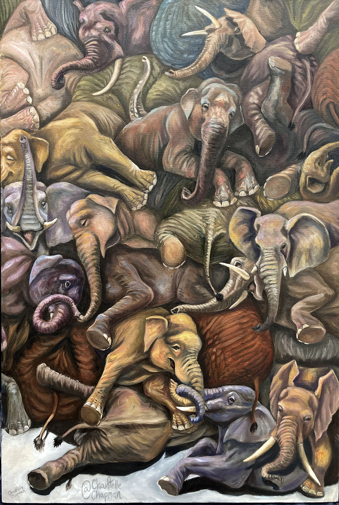 199-elephants-wm.jpg