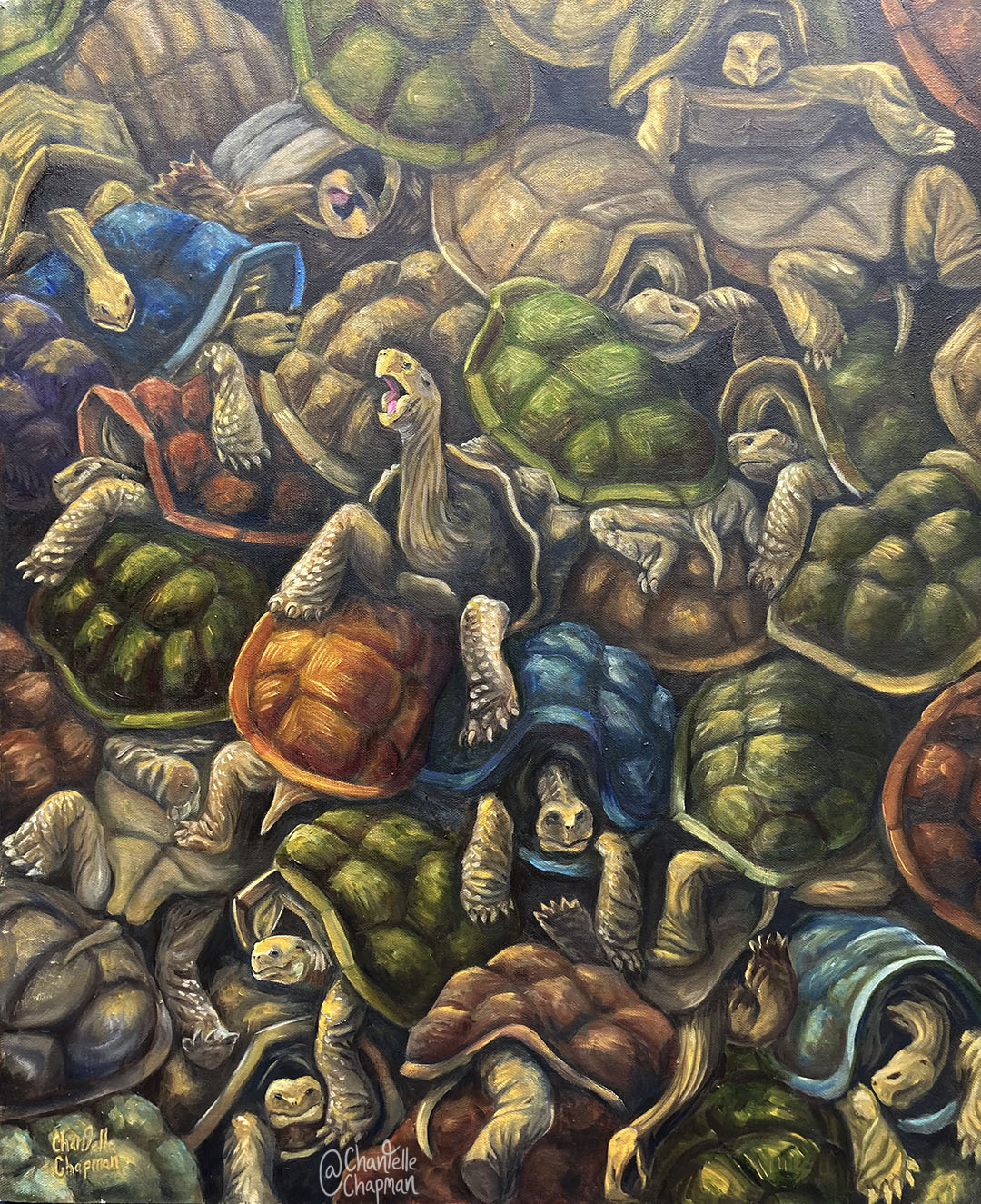 199-turtles-wm.jpg