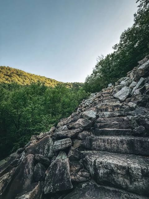 376-images-4-17926869592444.jpeg