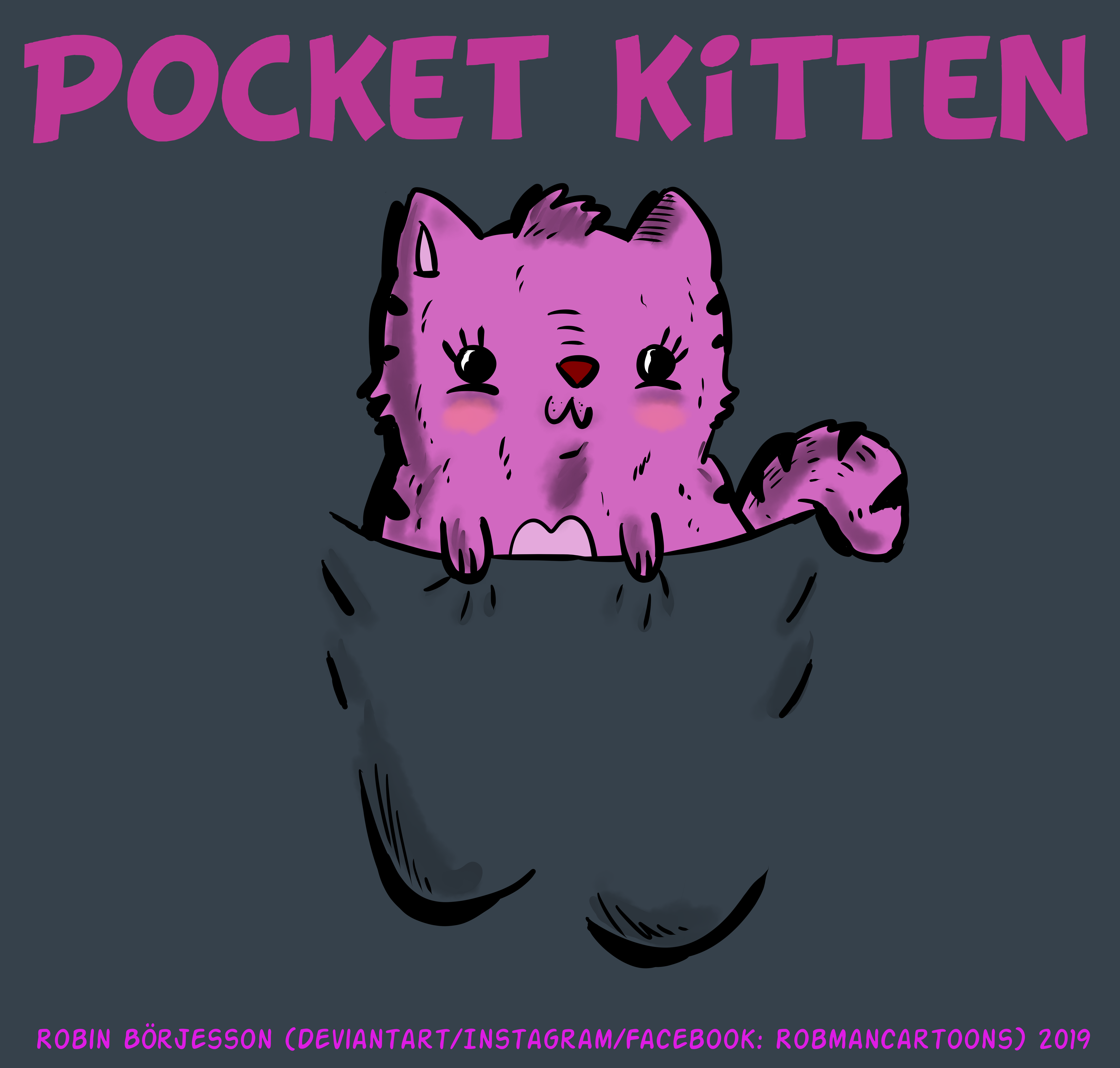 117-pocket-kitten.png