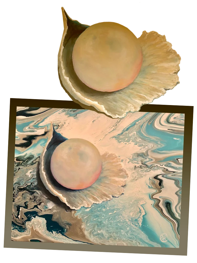 15-shellfree-17793112713358.png