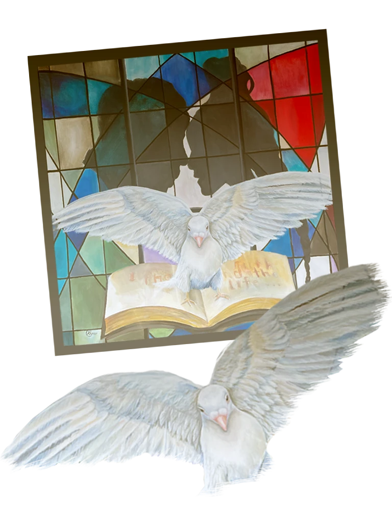 50-dovedownfrei-17792299876695.png