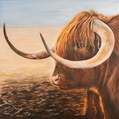 521-3ox-17793848177223.jpg