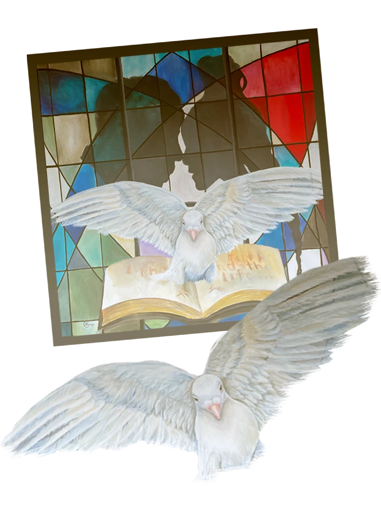8-dovedownfree-17793191928462.png