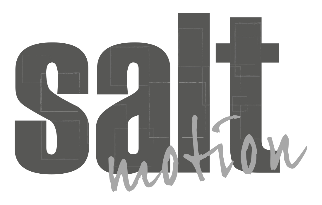 297-salt-logo-2grau-15565831994131.png