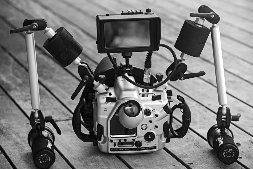 433-seacam-canon-1dx-mk2-with-dnc-5a-15566714789864.jpg