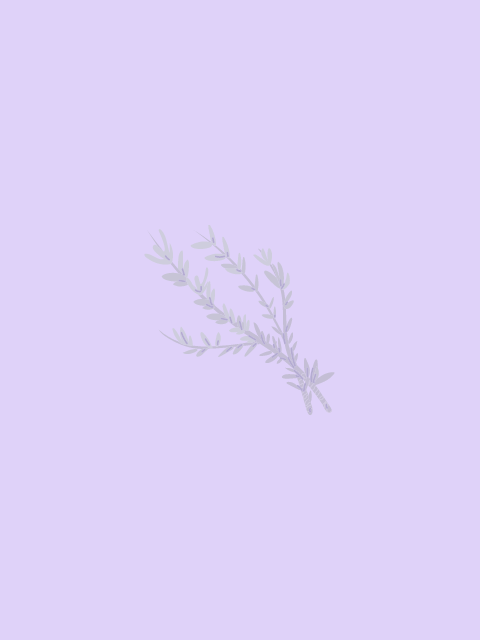 r25-untitled-design-1.png