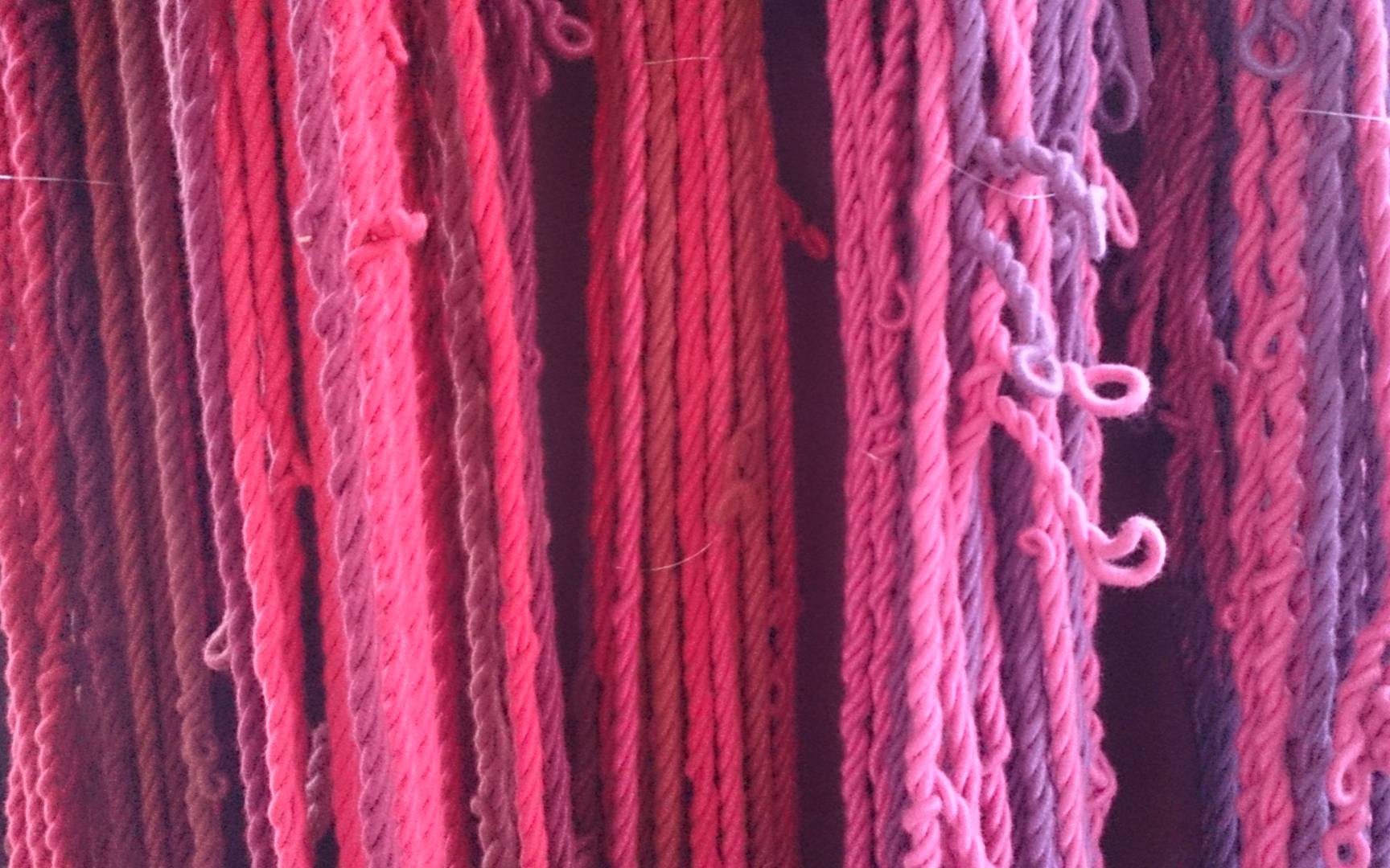 96017281080101-dsc0502jpg.jpg