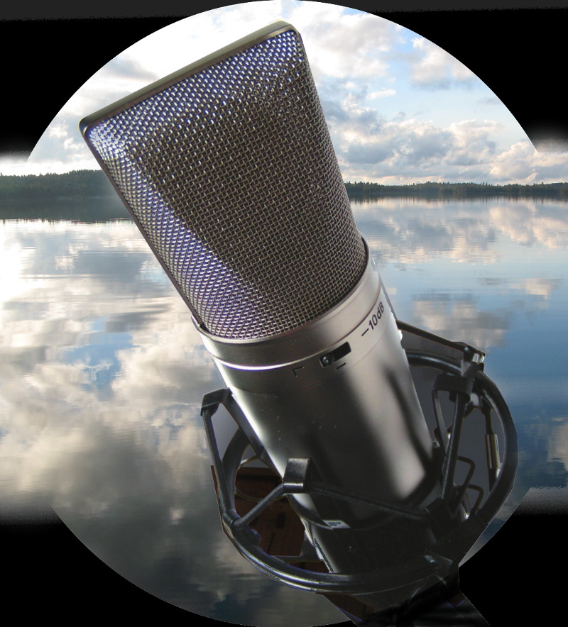 VOICE-OVERS 275-mic-against-lakejpg-1556740265524.jpg