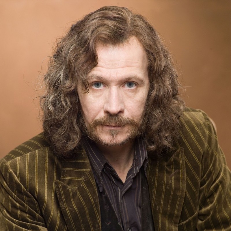 Sirius Black, Harry Potter and the Order of the Phoenix (Film)