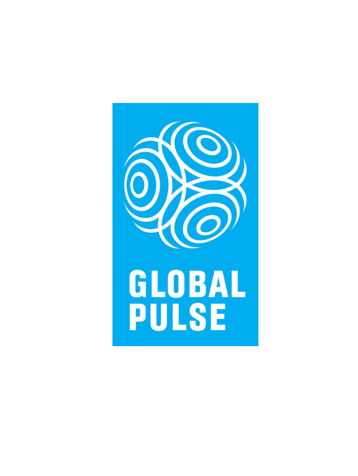 UN Global Pulse UN Global Pulse