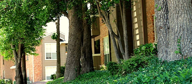 🌆 Second Chance Leasing in Irving | 2-Bedroom Apartments with Fireplaces & Two Pools Near Irving High