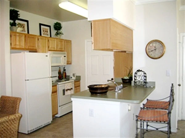 Two Bedroom Apartments from $1,547 — Second Chance Leasing in Lewisville, Texas w/Premium Appliances 