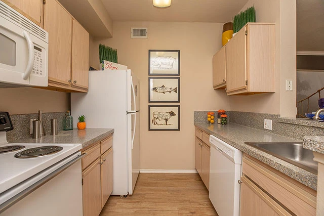 Far North Dallas Second Chance Apartments — Two Bedroom from $1,399 • Washer and Dryer and Pool