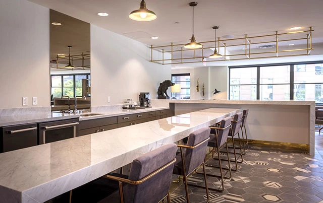 Downtown Dallas Second Chance Leasing — 1BR from $1,225 | High-Rise Perks • EV Chargers • Concierge